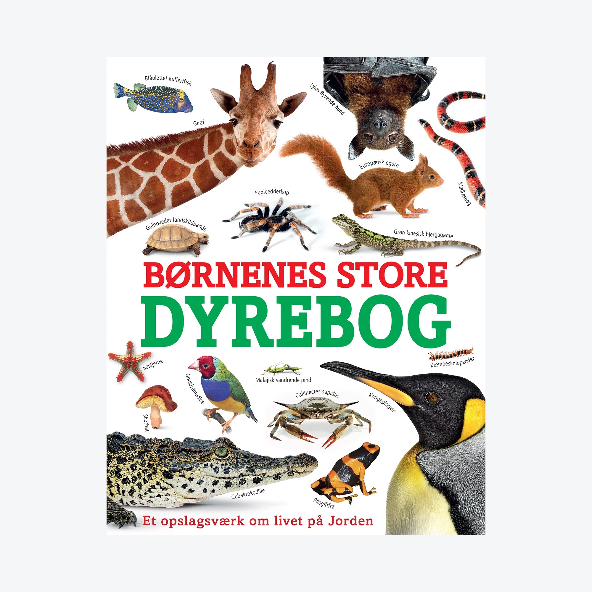 Børnenes Store Dyrebog